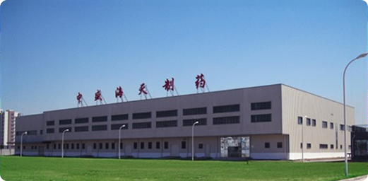 公司簡介
